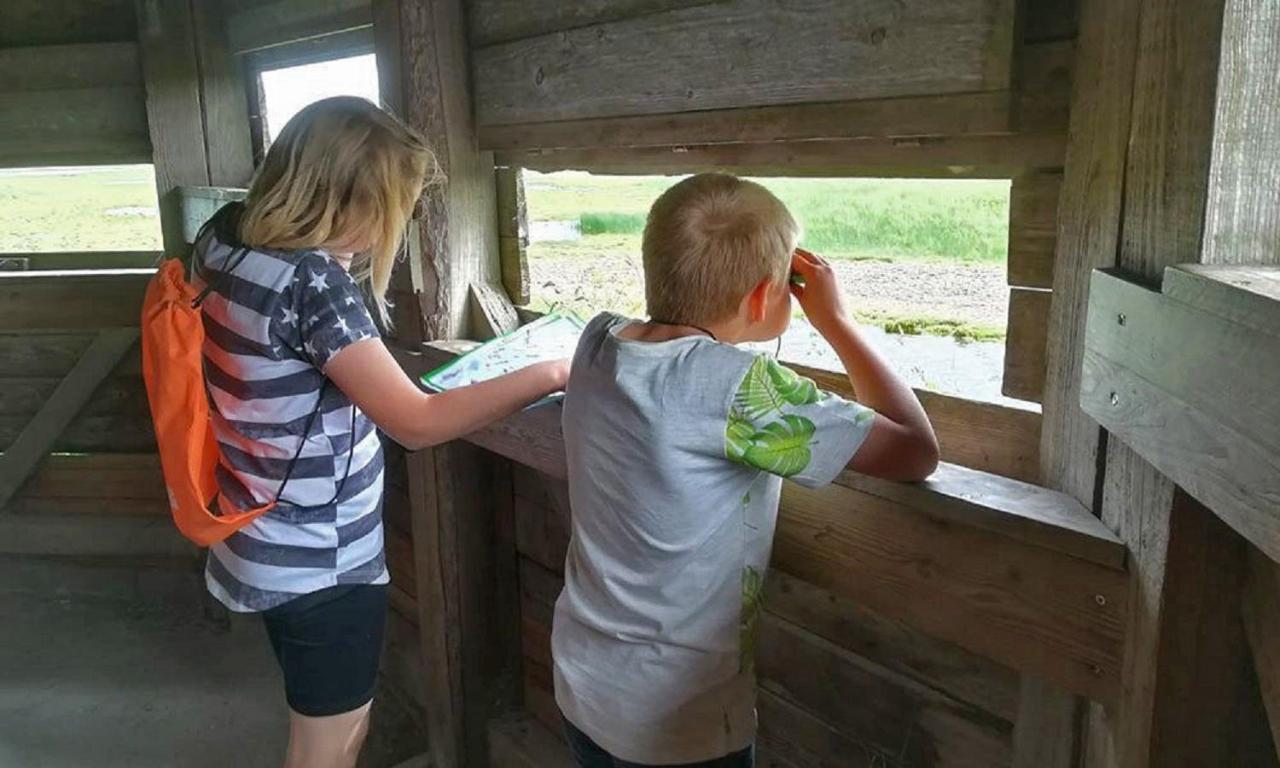 Chalet Op Camping Lauwersoog Met 3 Slaapkamers En Vaatwasser - Joycasa 외부 사진