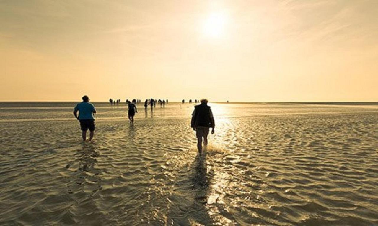 Chalet Op Camping Lauwersoog Met 3 Slaapkamers En Vaatwasser - Joycasa 외부 사진